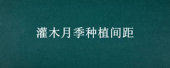 灌木月季种植间距 灌木月季栽种间距