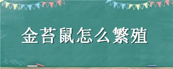 金苔鼠怎么繁殖（金苔鼠产卵）