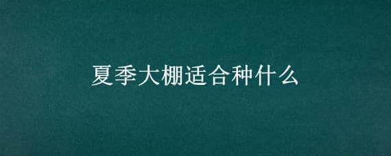 夏季大棚适合种什么