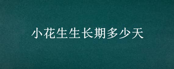 小花生生长期多少天