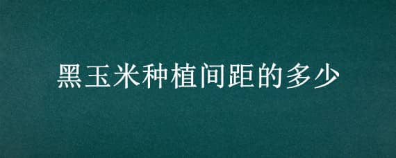 黑玉米种植间距的多少