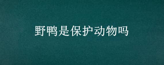 野鸭是保护动物吗