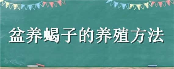 盆养蝎子的养殖方法 蝎子的养殖方法