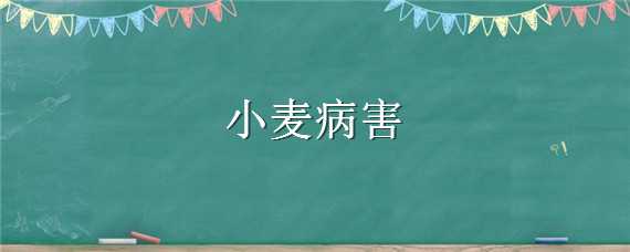 小麦病害 小麦条锈病是世界范围的小麦病害