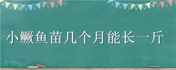 小鳜鱼苗几个月能长一斤（小鳜鱼苗一个月能长多大）