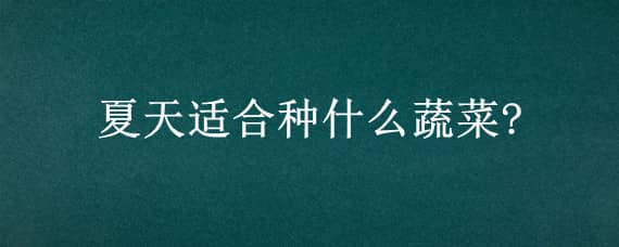 夏天适合种什么蔬菜?（夏天适合种什么蔬菜水果）