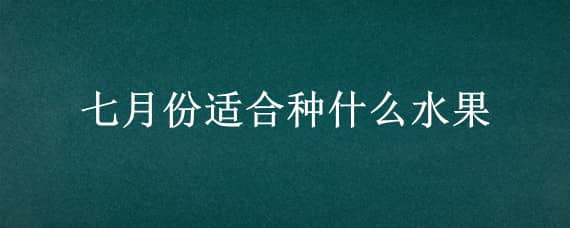 七月份适合种什么水果