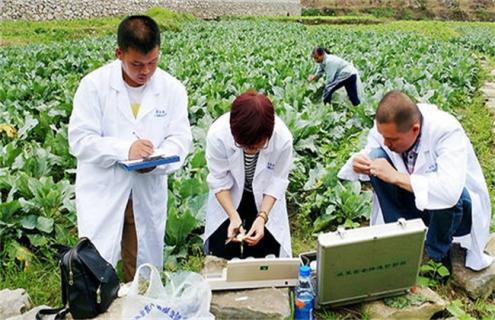 蔬菜种植中如何降低农药残留