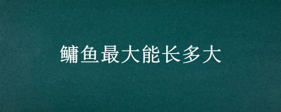 鳙鱼最大能长多大（鳙鱼最大能长多大视频）