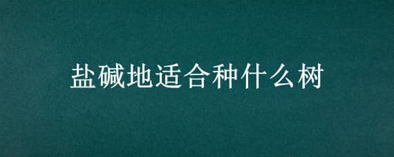 盐碱地适合种什么树 盐碱地适合种什么树好