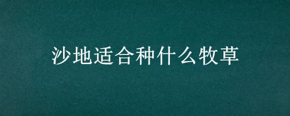 沙地适合种什么牧草（适合沙漠种植的牧草）