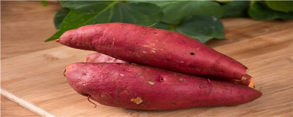 红薯种植起垄方式的原因（红薯起垄种植技术）