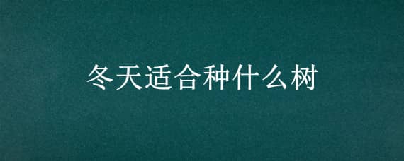 冬天适合种什么树（冬天适合种什么树苗抗旱扛掩）