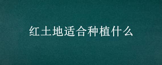 红土地适合种植什么