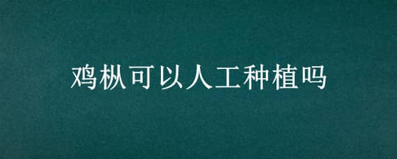 鸡枞可以人工种植吗 黑皮鸡枞可以人工种植吗