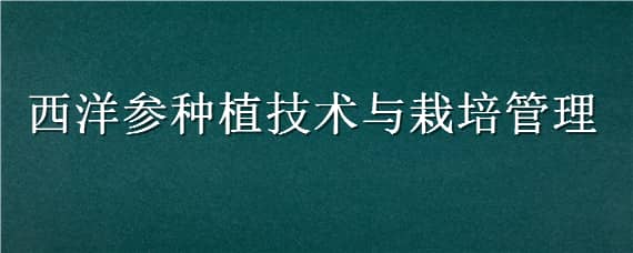 西洋参种植技术与栽培管理