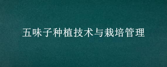 五味子种植技术与栽培管理（五味子种植技术与栽培管理问题及解决方法）