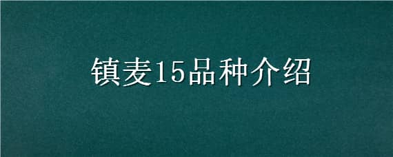 镇麦15品种介绍 镇麦15号麦种