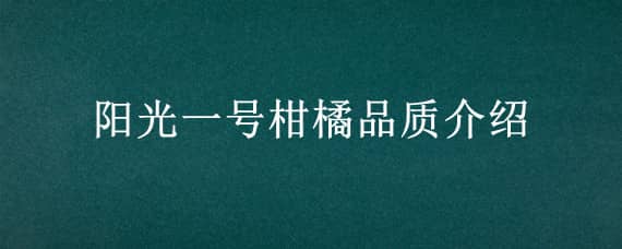 阳光一号柑橘品质介绍（阳光一号柑橘是什么品种）