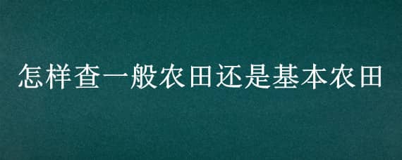 怎样查一般农田还是基本农田