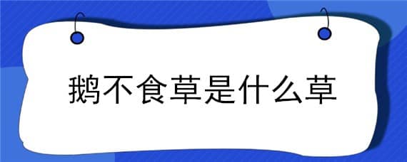 鹅不食草是什么草 鹅不食草是啥