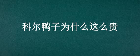 科尔鸭子为什么这么贵（科尔鸭好卖吗）