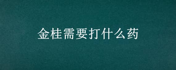 金桂需要打什么药 金桂的药用功能