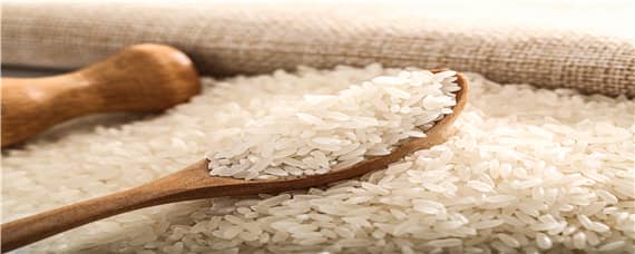 米的种植过程