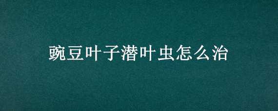 豌豆叶子潜叶虫怎么治（豌豆叶子里面的虫如何防治）