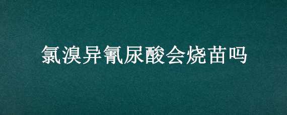 氯溴异氰尿酸会烧苗吗