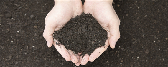 酸性肥料有哪些 自制酸性肥料有哪些