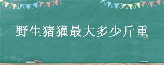 野生猪獾最大多少斤重（猪獾最大有多少斤）