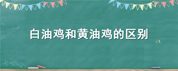 白油鸡和黄油鸡的区别（鸡有黄油和白油）