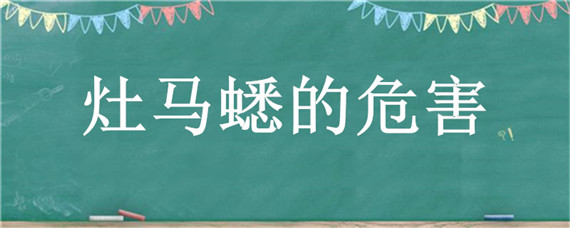 灶马蟋的危害 灶马蟋的危害咬人有毒吗