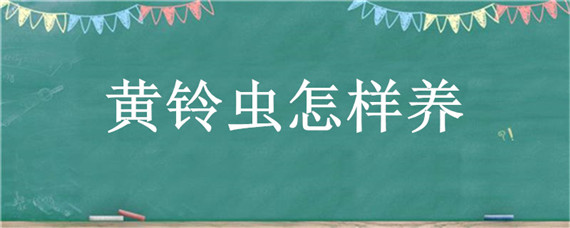 黄铃虫怎样养 黄粉虫怎么养殖