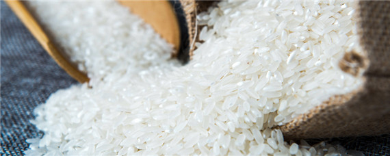 稻米出口国有哪三个 最大的稻米出口国是什么