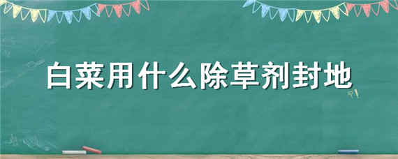 白菜用什么除草剂封地（白菜用什么除草剂封地面）