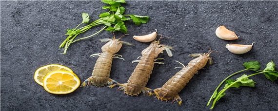 皮皮虾怎么养 皮皮虾怎么养活的时间长