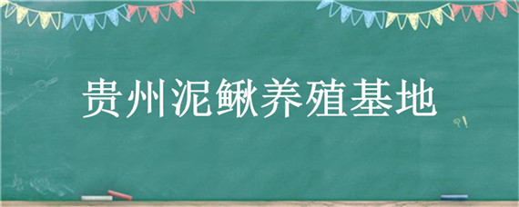 贵州泥鳅养殖基地 泥鳅的养殖基地