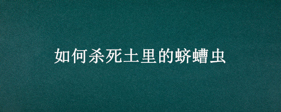 如何杀死土里的蛴螬虫（怎样杀灭土里的虫子）