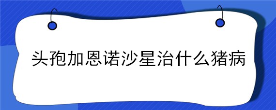 头孢加恩诺沙星治什么猪病 头孢加恩诺沙星治猪发烧吗