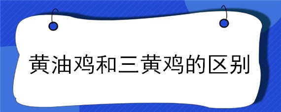 黄油鸡和三黄鸡的区别 三黄鸡和土鸡哪个好