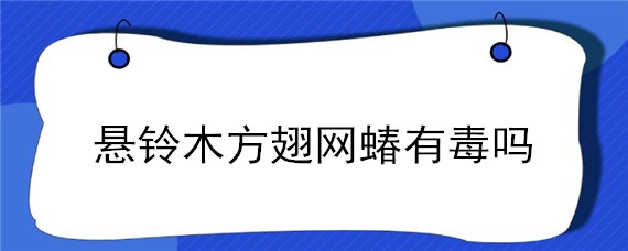 悬铃木方翅网蝽有毒吗 悬铃木方翅网蝽若虫