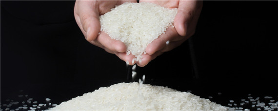 淘米水磷钾肥的含量 淘米水氮磷钾含量