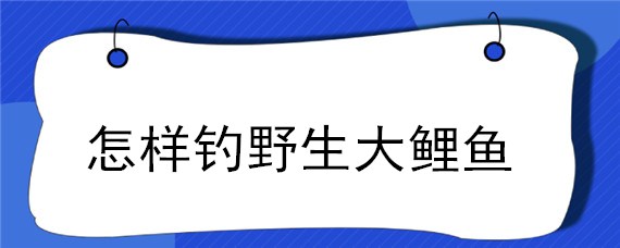 怎样钓野生大鲤鱼 如何钓野生大鲤鱼