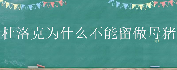 杜洛克为什么不能留做母猪（杜洛克父本可以留母猪吗）