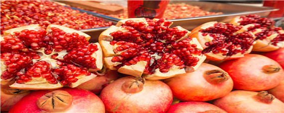 突尼斯种植软籽石榴的有利气候条件（突尼斯软籽石榴适合什么地区种植）