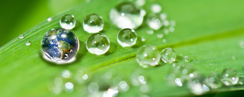 体会水和光对于植物生长的重要性（体会水和光对于植物生长的重要性二年级）