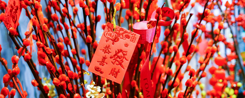 红柳枝怎么养（红柳枝怎么养护）