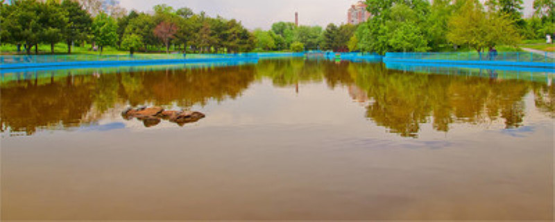 怎样判断虾塘有没有虾 怎么去判断虾塘有没有虾苗